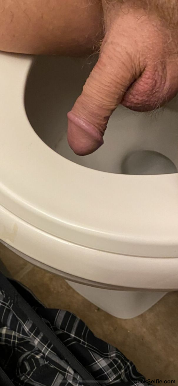 Are Toilet Bowls Truly Too Short for Some Men’s Junk?