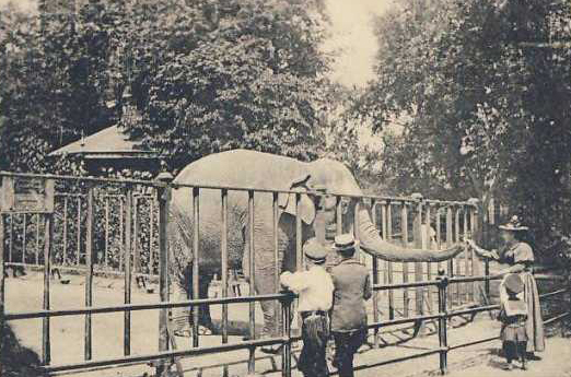 Remembering the Racist History of ‘Human Zoos’