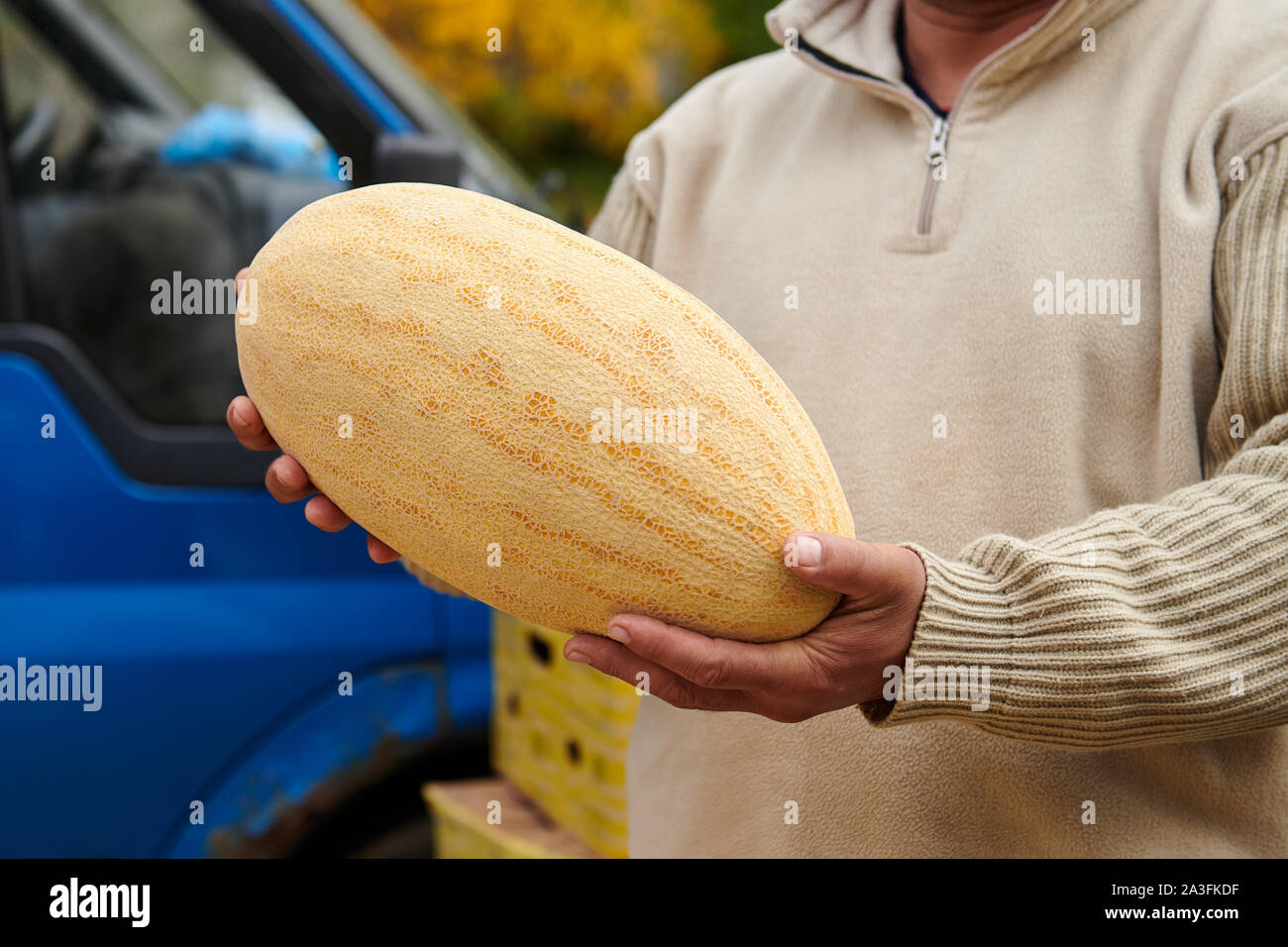 NECTAR GROS MANSENG / MELON DE BOURGOGNE