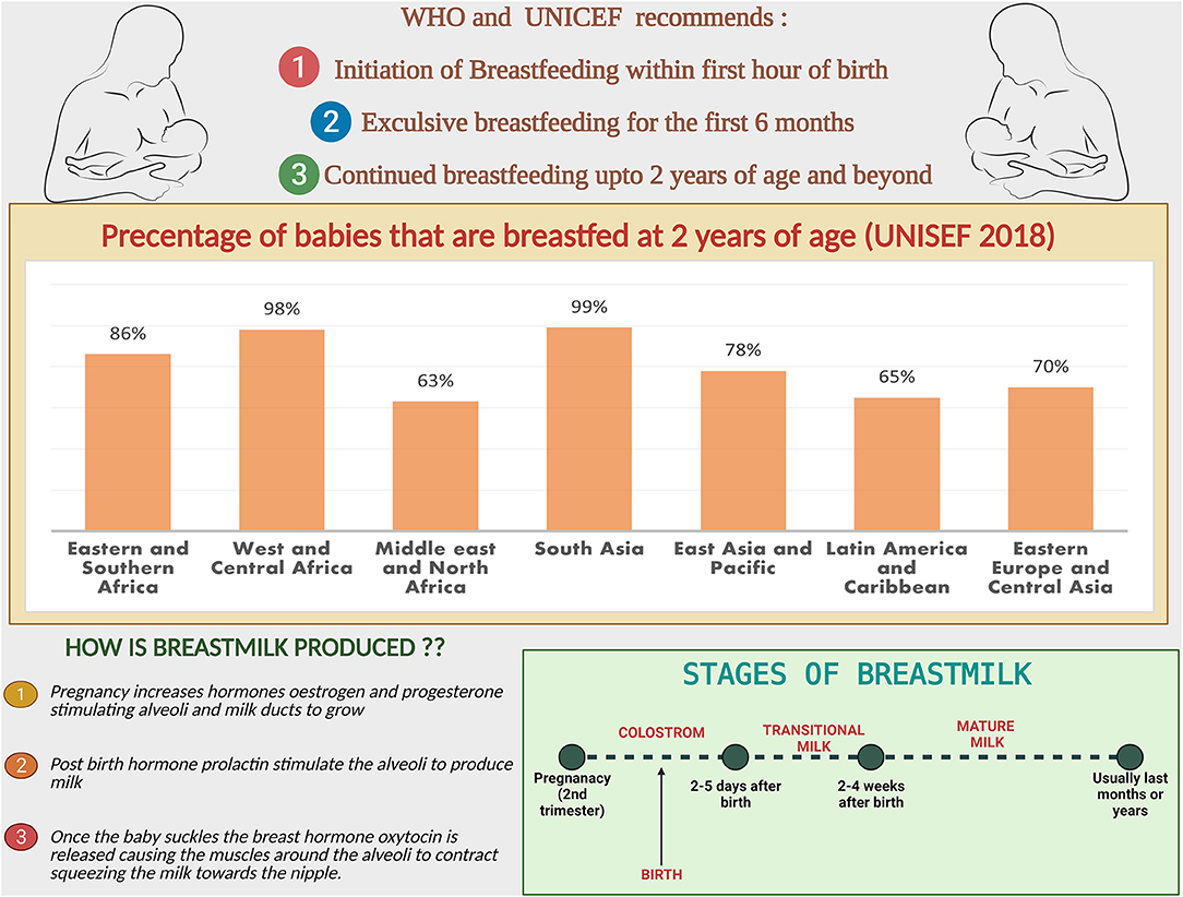 Categories Related to Milk Boobs