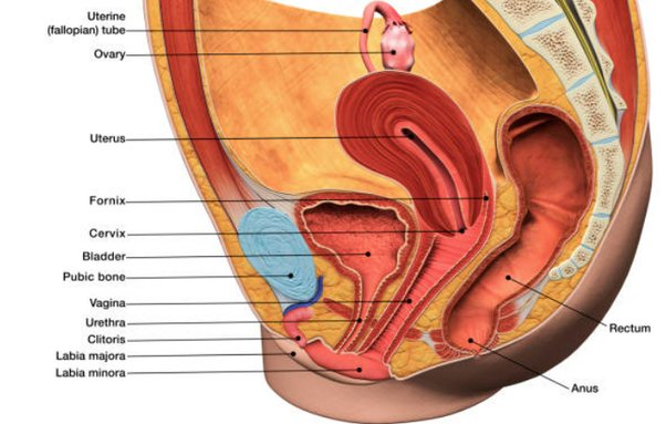 Can Fingering Break The Hymen?