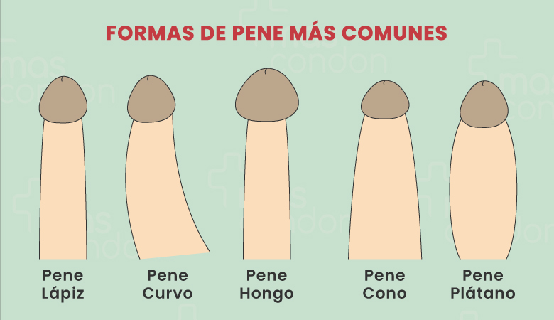 Penes diferentes