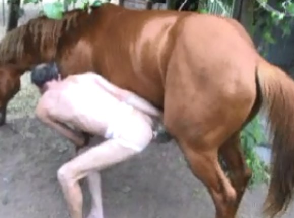 Getting fucked by horses