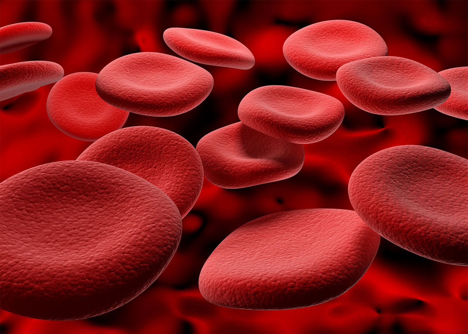 Facts About Blood and Blood Types