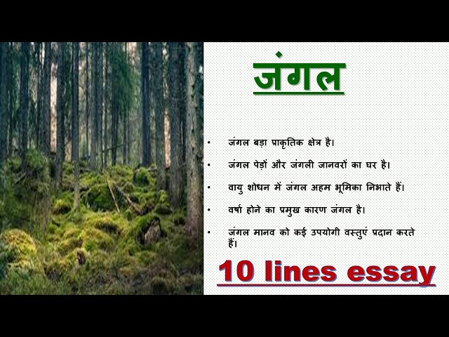 Hindi in forest