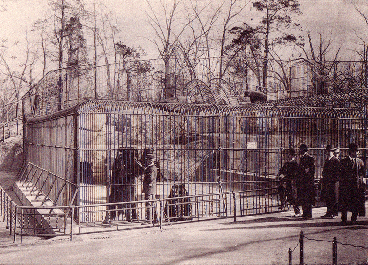 Zoo.1800