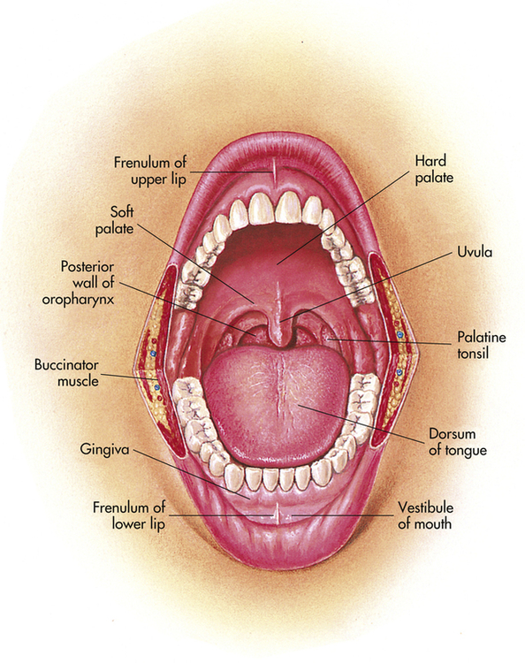 Throat mouth