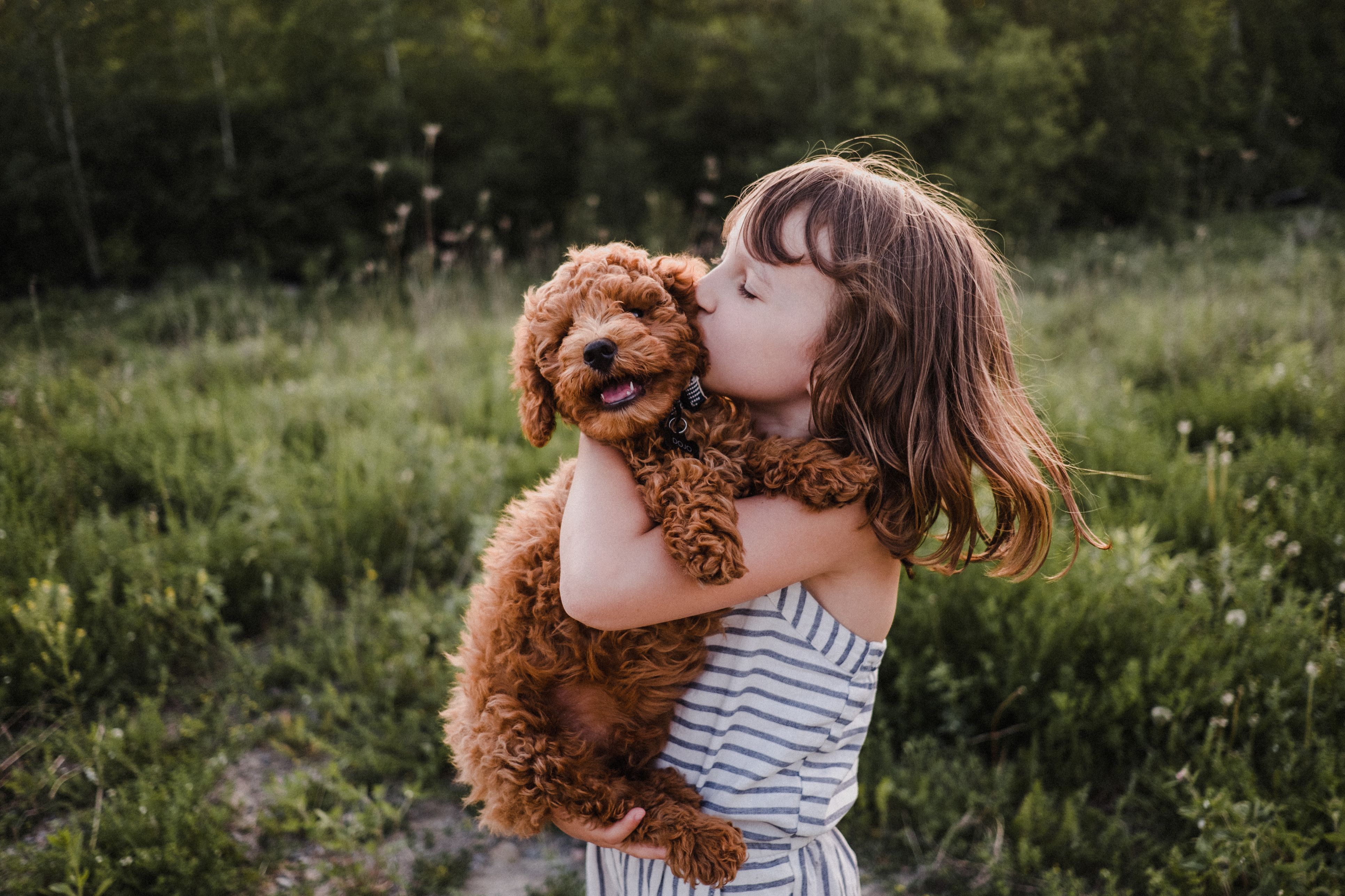 Creating Connections: A Portrait of a Girl and her Dog | State College, PA