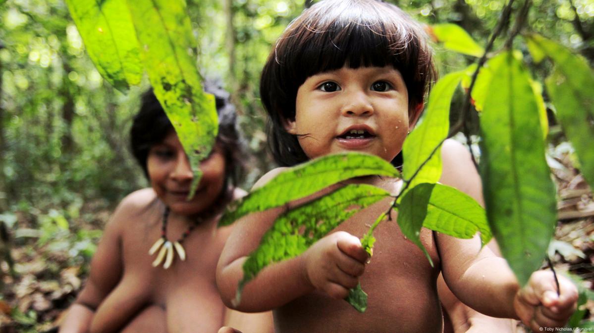 Awá: Indigenous People of the Amazon