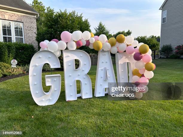 Number & Letter Balloon Sculptures