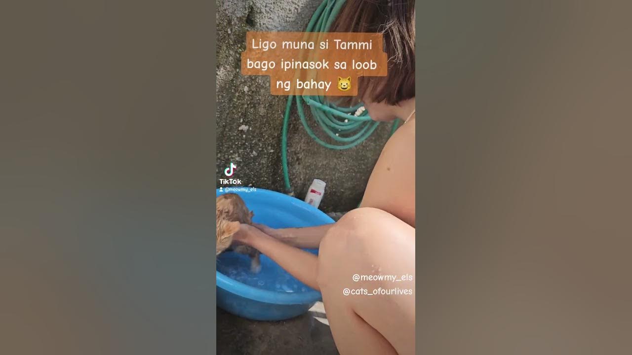 Ipotok muna sa loob