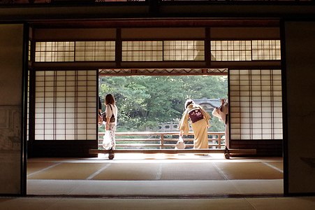 Japan door