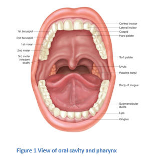 (Oral Cancer; Oropharyngeal Cancer)