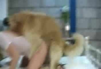 Xxxxx sexy video dog wali kutta wali